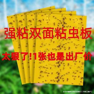 Yellow Sticky Trap for Greenhouses, Double-Sided Small Black Fly Trap, Fruit Fly Trap, Insect Trap Sticker for Agricultural and Home Garden Use