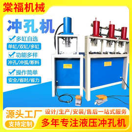 台式半自动液压冲孔机 小型工厂五金加工用 液压驱动低噪音冲孔机