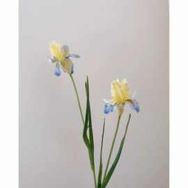 油画鸢尾高仿白色黄色香槟色仿真鸢尾花保湿手感软装假花装饰品
