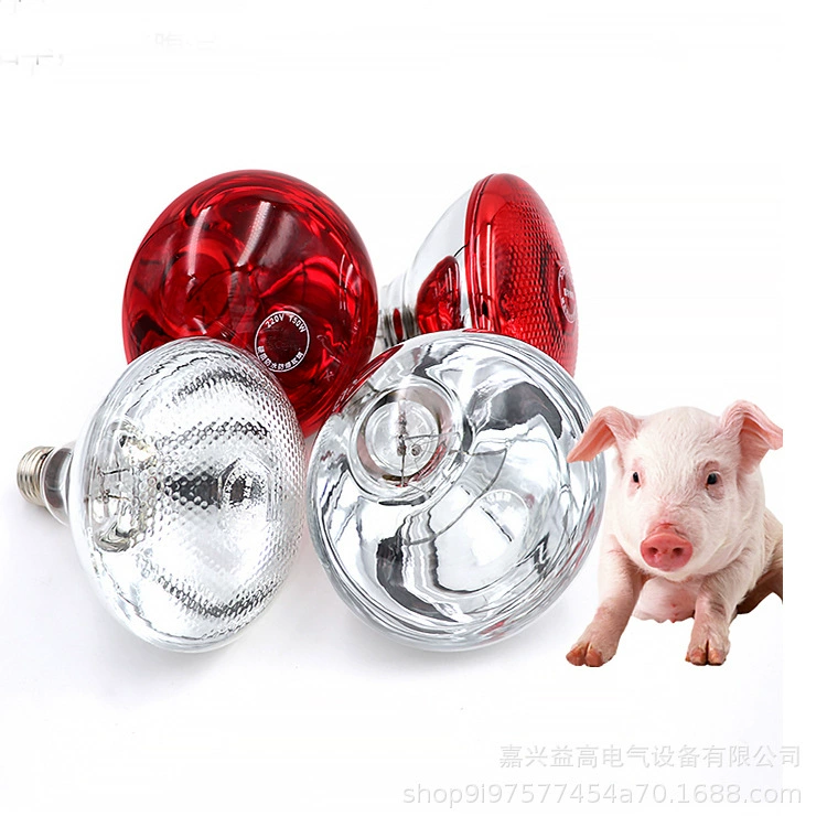 Горячая распродажа на складе завод прямые поставки лампы для животноводства R 125 250 Вт прозрачный пузырь