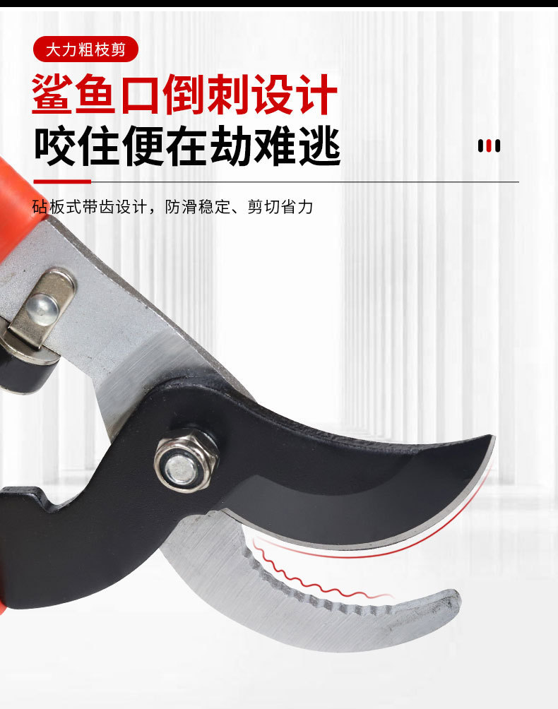 详情_09.jpg