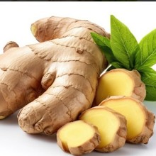 ����ƽ�_�˵Ϲ��S��Դ�^���S��Ʒ���ϏS��ֱ�Nһ�����l�����l