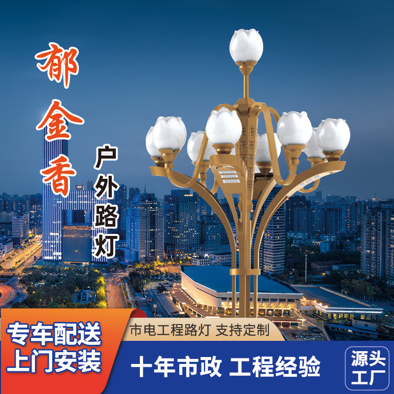 公园广场郁金香路灯 户外市政工程10米12米景观高杆组合路灯厂家