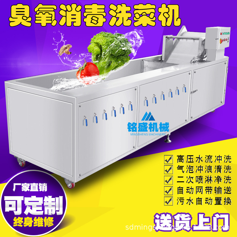 Factory postage chicory cleaning machine perilla ozone sterilization cleaning machine automatic chicory sterilization cleaning equipment