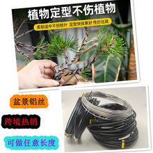 �羳 �辰�X�z �辰�����X�� �@�ֈ@ˇ���5/10��֧�������ה�