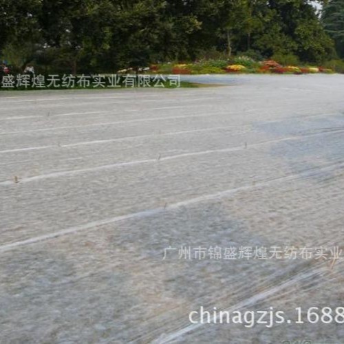 【厂家直销】丙纶无纺布  PP无纺布 纺粘无纺布绿化防寒无纺布