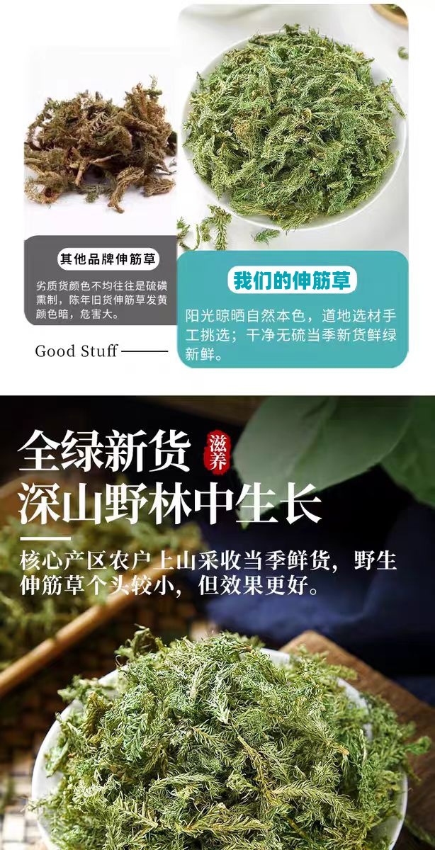 Shen Jin Cao (Lycopodium clavatum) — Dried Clubmoss Herb for Foot Soaks & Herbal Wine quality and texture