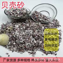 鱼缸底砂贝壳砂三湖砂海沙菲律宾沙鱼缸造景装饰慈鲷寄居蟹贝壳砂