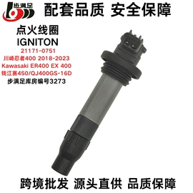 点火线圈;电子调节器;点火器