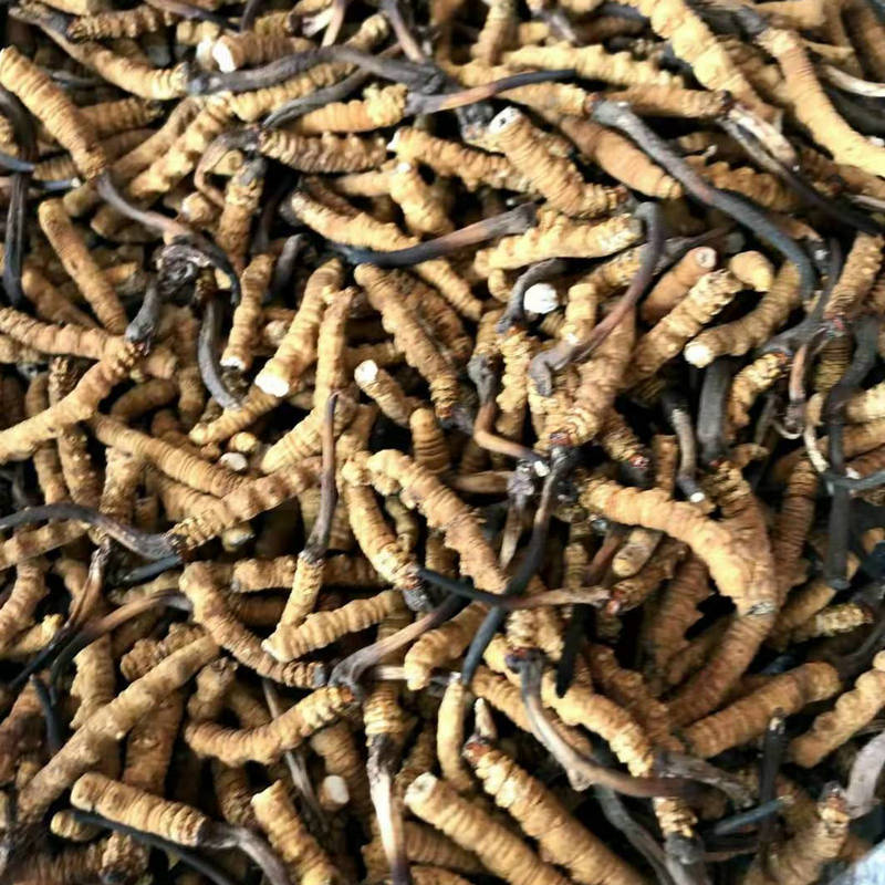 f6a60251-f7d3-47c7-b180-6d4d81