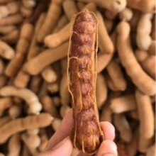 �������������خa��������r�_�������ھ��x�������ǳ�������