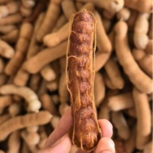 �������������خa��������r�_�������ھ��x�������ǳ�������