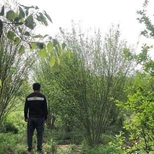 ���ش������l����ľ�Ȫ��Uľ�ȸ�ϵ���ɻ��ʸ�Ҏ���R