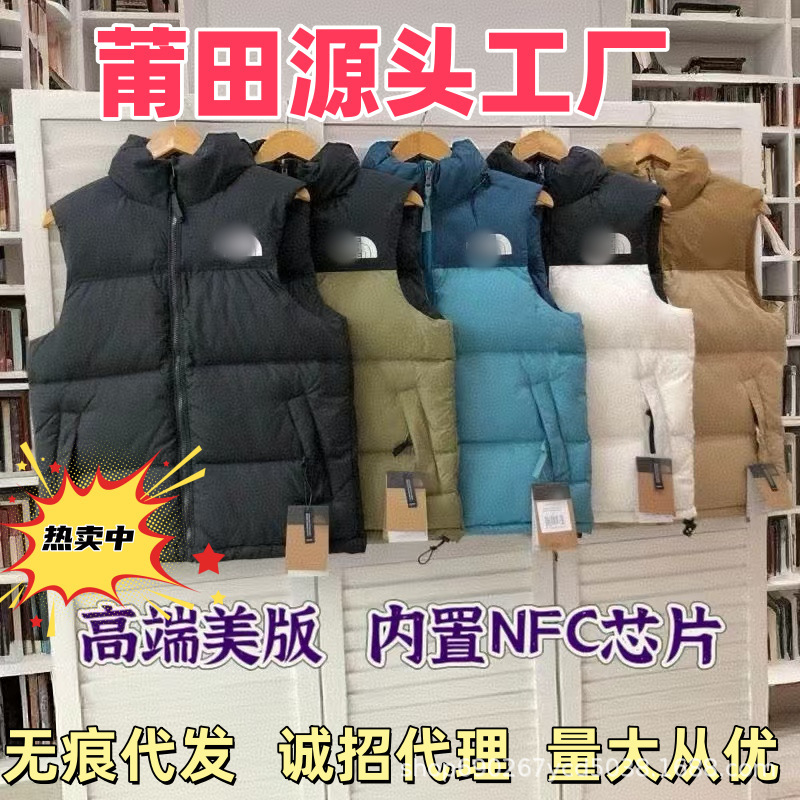 Putian Factory High Version North Face 1996 down Jacket Vest Tnf700 Fluffy Embroidered Men's and Women's Couple Vest
