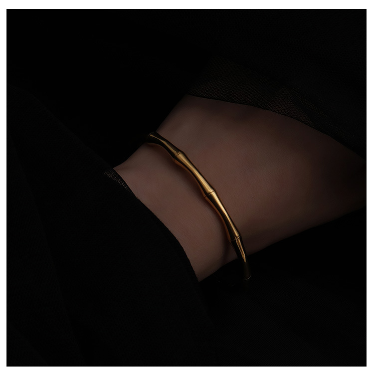 Elegant Bamboo Titanium Steel Plating Bangle display picture 6