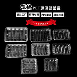 一次性蔬菜吸塑托盘批发果蔬超市PET内衬生鲜内托盒厂家定制环保