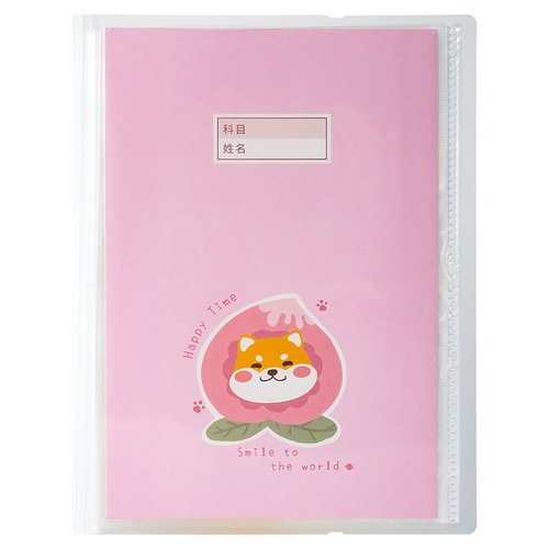 A3 Exam Paper Holder, Exam Paper Organizing Magic Storage Binder, Categorized Folders, Multi-layered, Multi-functional, Transparent