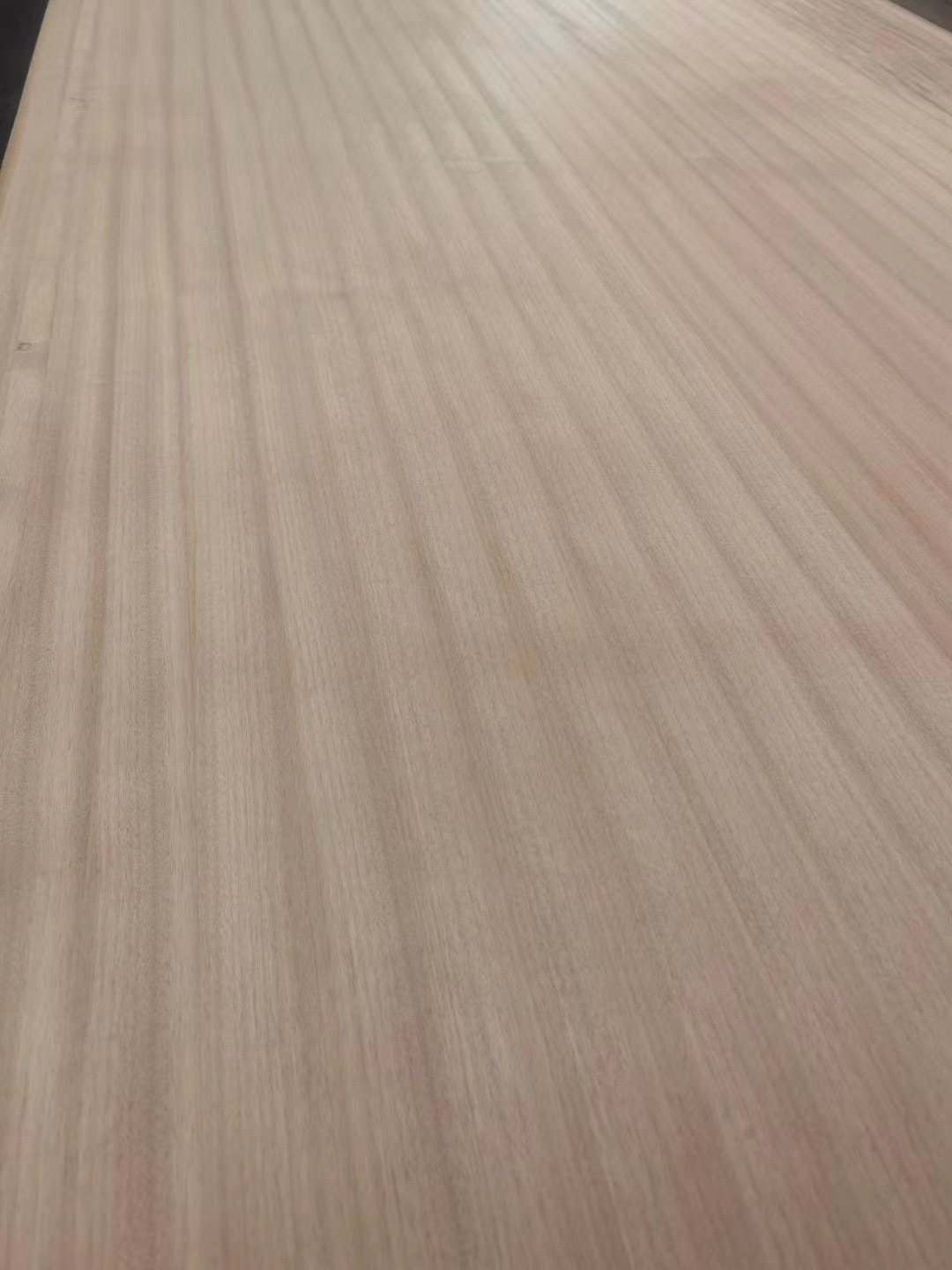 微信图片_20240226151510.jpg