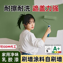 白色环保室内翻新自刷墙面油漆 家用刷墙防潮防霉修内墙乳胶漆