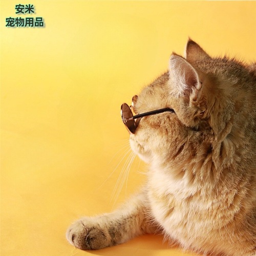 Pet glasses personalized creative photo taking pet sunglasses retro cool funny cat glasses wholesale