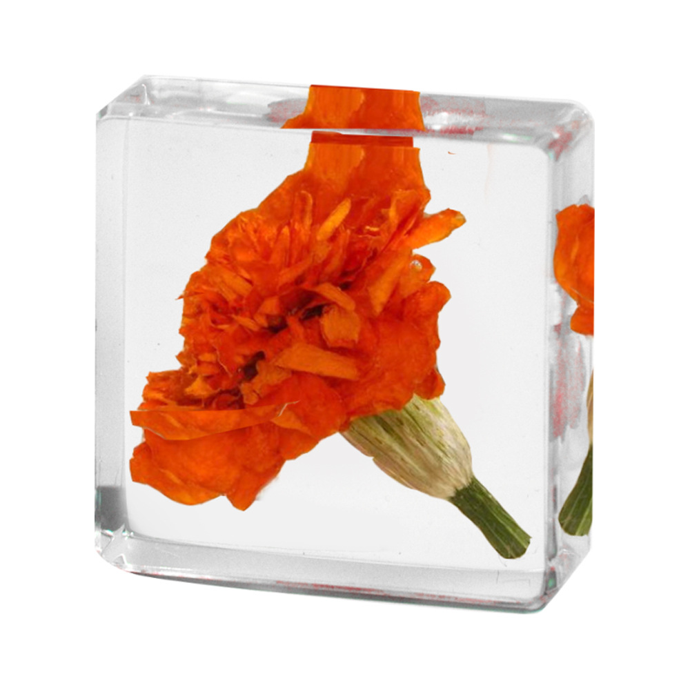 3.8CM small square peacock grass