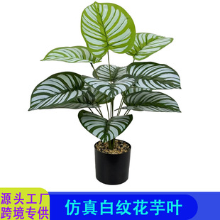 �羳���������~���ԼҾӿ͏d�b�ɫ���y�����~�ٻ�ֲ������쾰