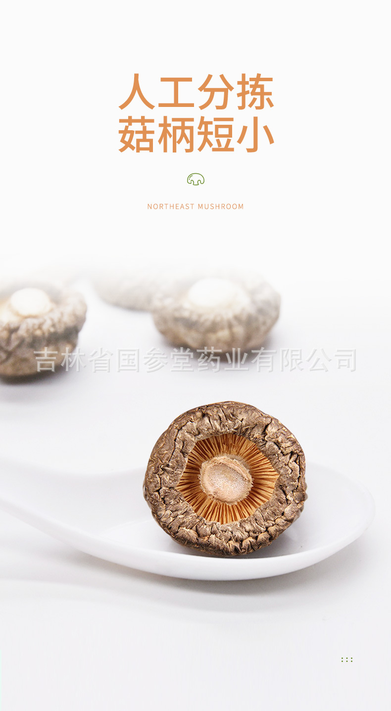 香菇_07.jpg