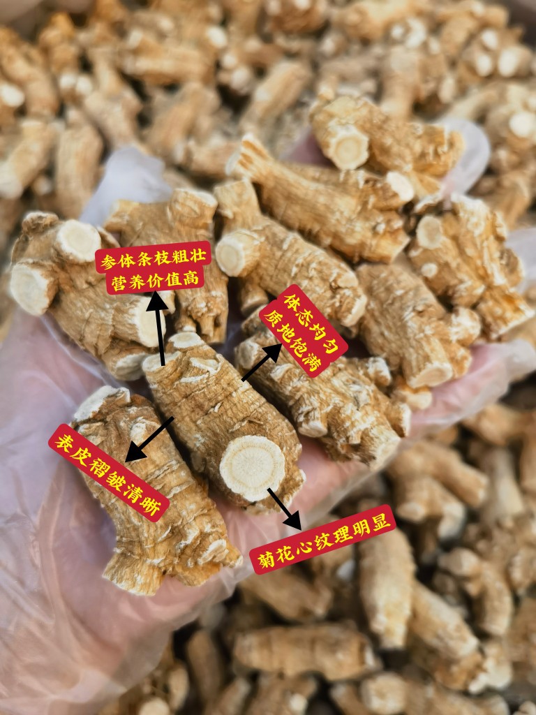 American Ginseng Root Xi Yang Shen Panax quinquefolius Whole Roots 500g Canadian Grown in use