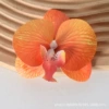 3D Film Orange No. 2 (small)