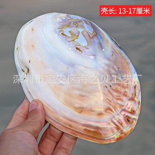 ��Ȼ����ؐ���Ʒչʾ�P��P�錚�[���b�ؐ��ins���յ��ߔ[��