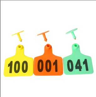 ��������i������ �����i����̖�Q �i�R�e̖�a