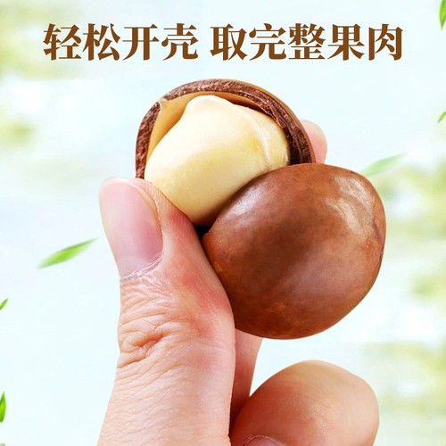 Australian specialty macadamia nuts large grains 250g cream flavored macadamia kernels nuts wholesale manufacturer