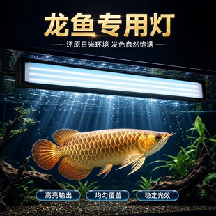 ���~�� �t�������lɫ���~�����G�� �t��Ѫ�W�^��ɫ��led��ˮ��