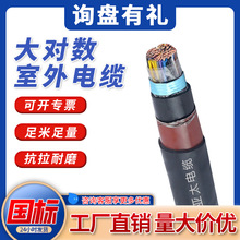国标HYAT53大对数电缆50×2×0.5mm²室外阻燃铠装充油通信电缆