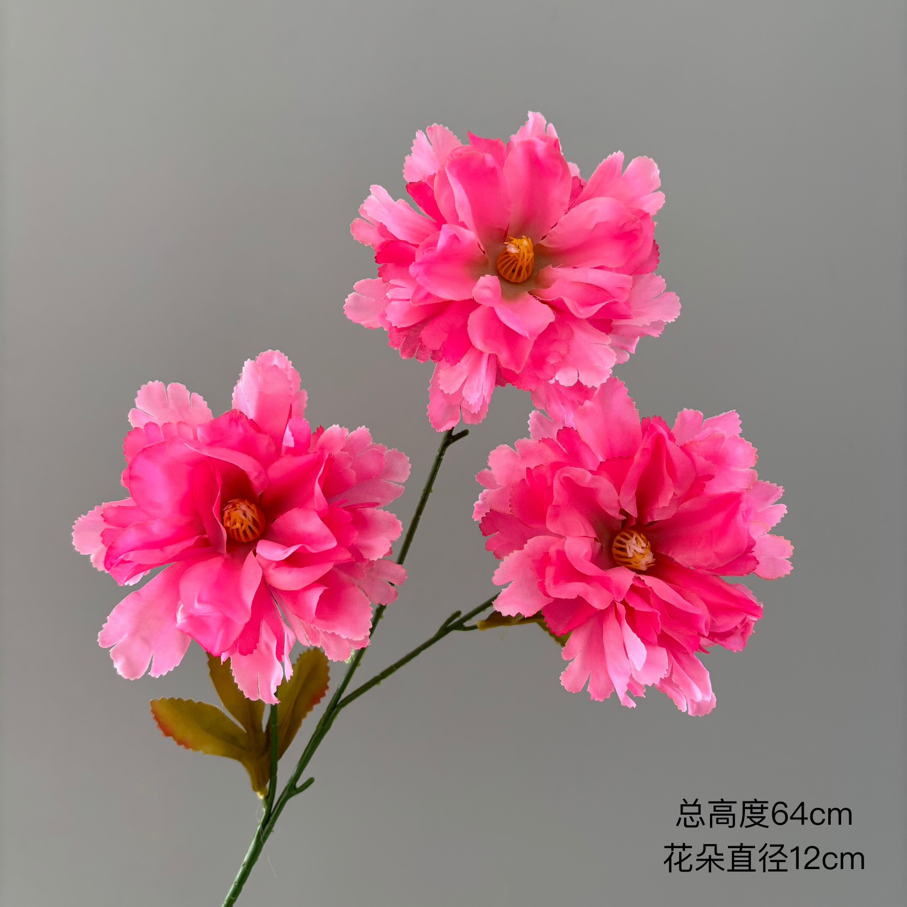 히비스커스 모란 3개