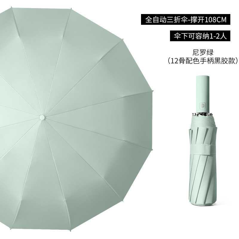 12 Refuerzo óseo - Morning Fog Green