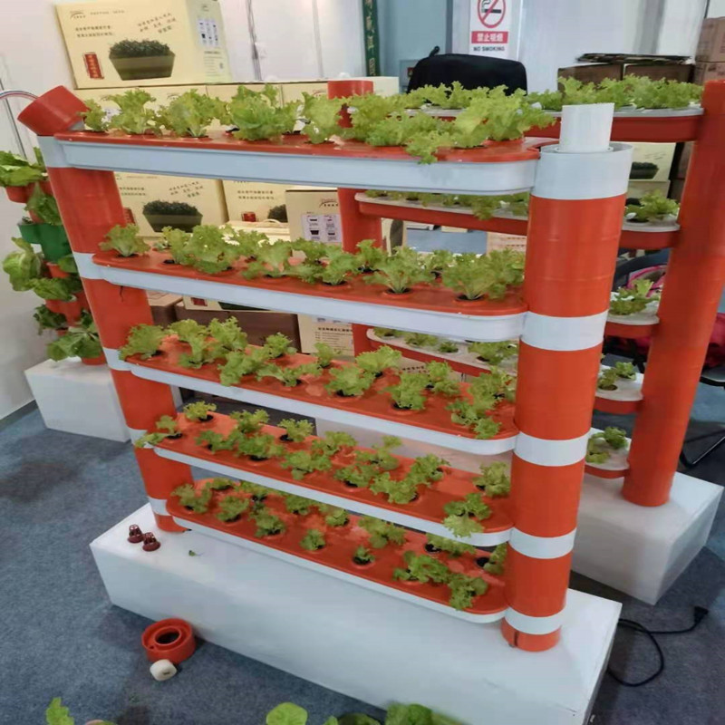 Casa Jardinería cultivo independiente jardín de infantes ciencia popular cultivo tridimensional sin suelo educación escolar cultivo de plantación de vegetales