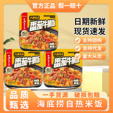 海底捞方便米饭番茄牛腩饭272g自热米饭速食懒人快餐加热即食