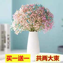 云南干花花束满天星花束风干真花家居摆设小清新客厅装饰摆件