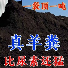 农家肥羊粪发酵有机肥内蒙古腐熟羊粪肥颗粒鸡粪发酵有机肥蔬菜专