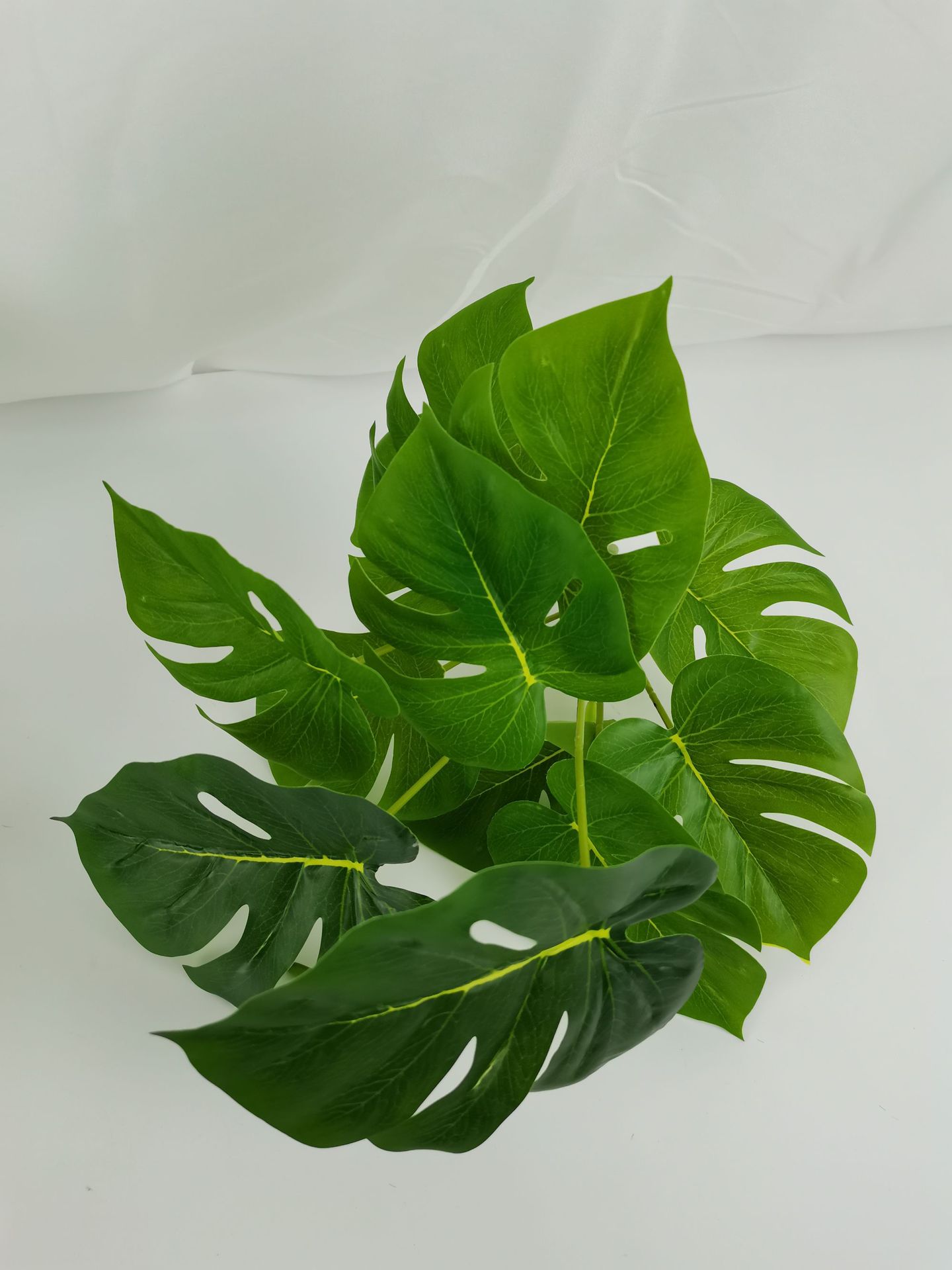 微信图片_20230529150136