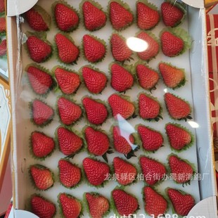 Strawberry Tray Sponge Lining/Strawberry Tray Sponge Lining/Strawberry Tray Sponge Inner Tray/Strawberry Tray Sponge Packaging