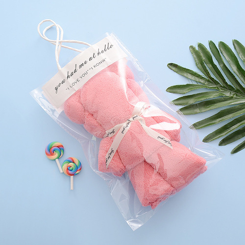 Coral Velvet Bear Towel Souvenir Box Wedding Mother's Day Gift Shape Towel Opening Gift Wholesale