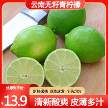 雲南青檸檬水果新鮮當季多汁包郵德宏特產當地深山小青檸檬5斤