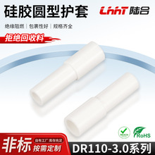 ��ɫ�A���o�׶����o�׾��|���^�^�����o��dr110-3.0�o�׷��o���z