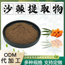沙棘提取物食品级保健原料固体饮料水溶性粉植物萃取粉末现货包邮