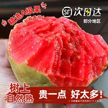 ����S���]���V�|�������ͼt�İŘ����r���]5����A+������ˮ��