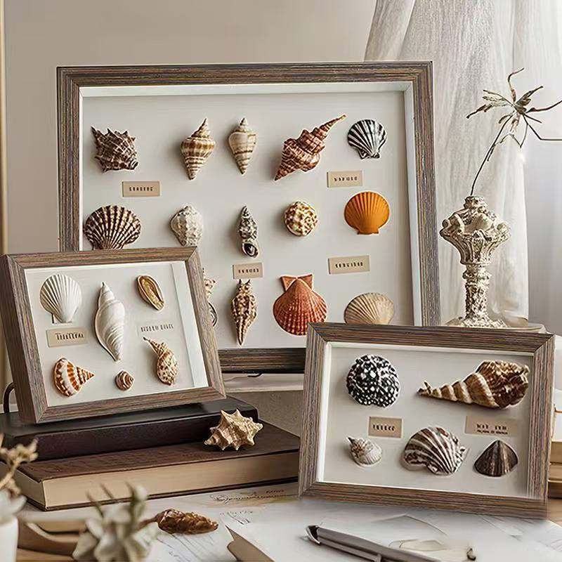 Creative Beach Shell Photo Frame Hollow Three-Dimensional Photo Frame Specimen Storage Frame Collection Box Ornaments Ready for Sale