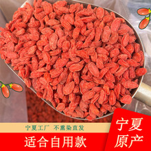 宁夏中宁县厂家直供 头茬新货红苟杞子500克袋装宁夏枸杞低价批发