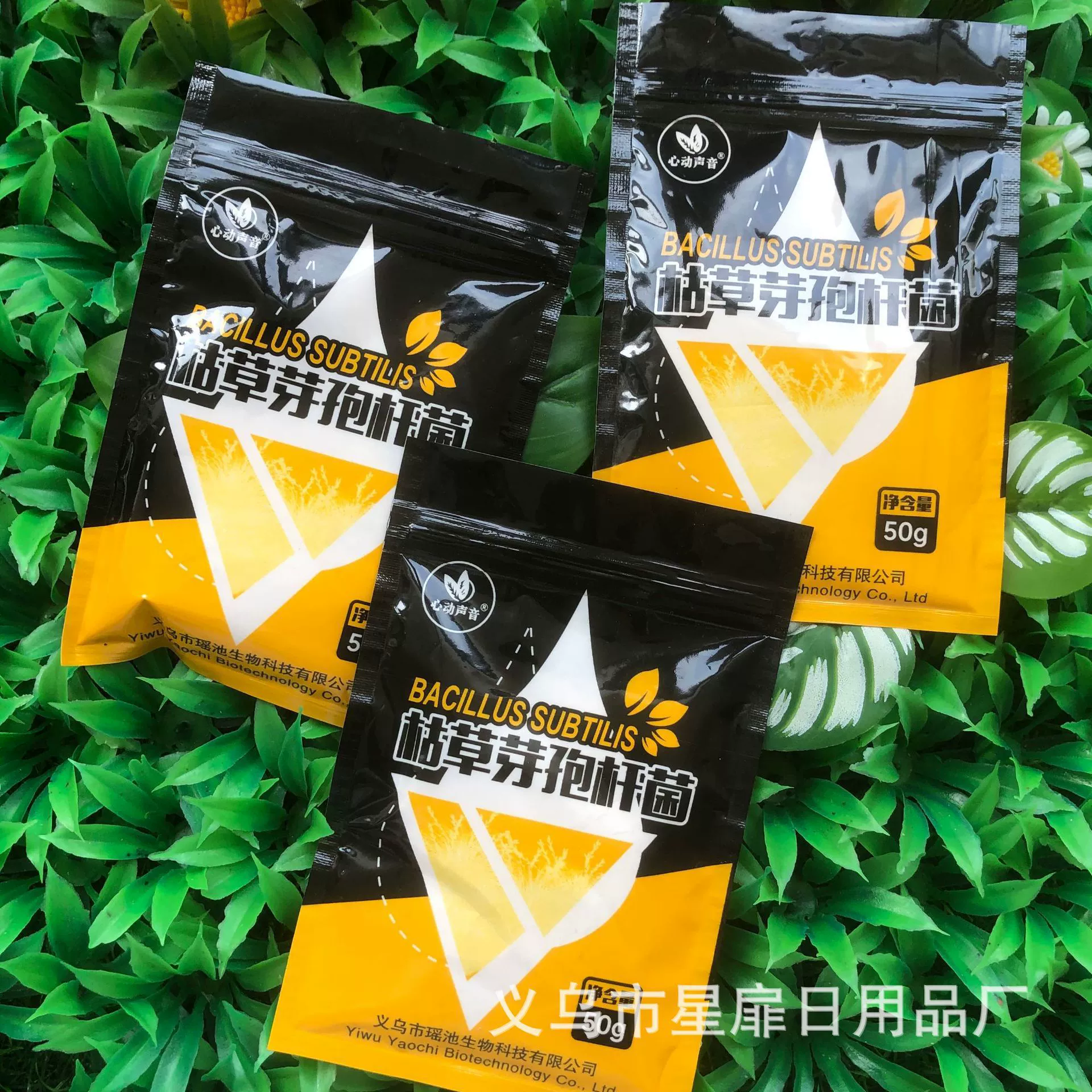 Bacillus subtilis сельскохозяйственное посевное антибактериальное, устойчивое к болезням, противопосадочное, укореняющее и укрепляющее растения зеленое органическое активирующее почву сокровище